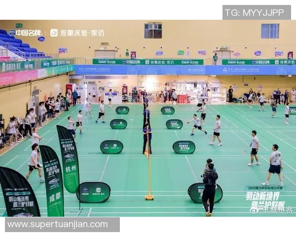 羽毛球巨献：探秘深圳羽毛球队的速度